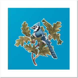 Blue Jay Posters and Art